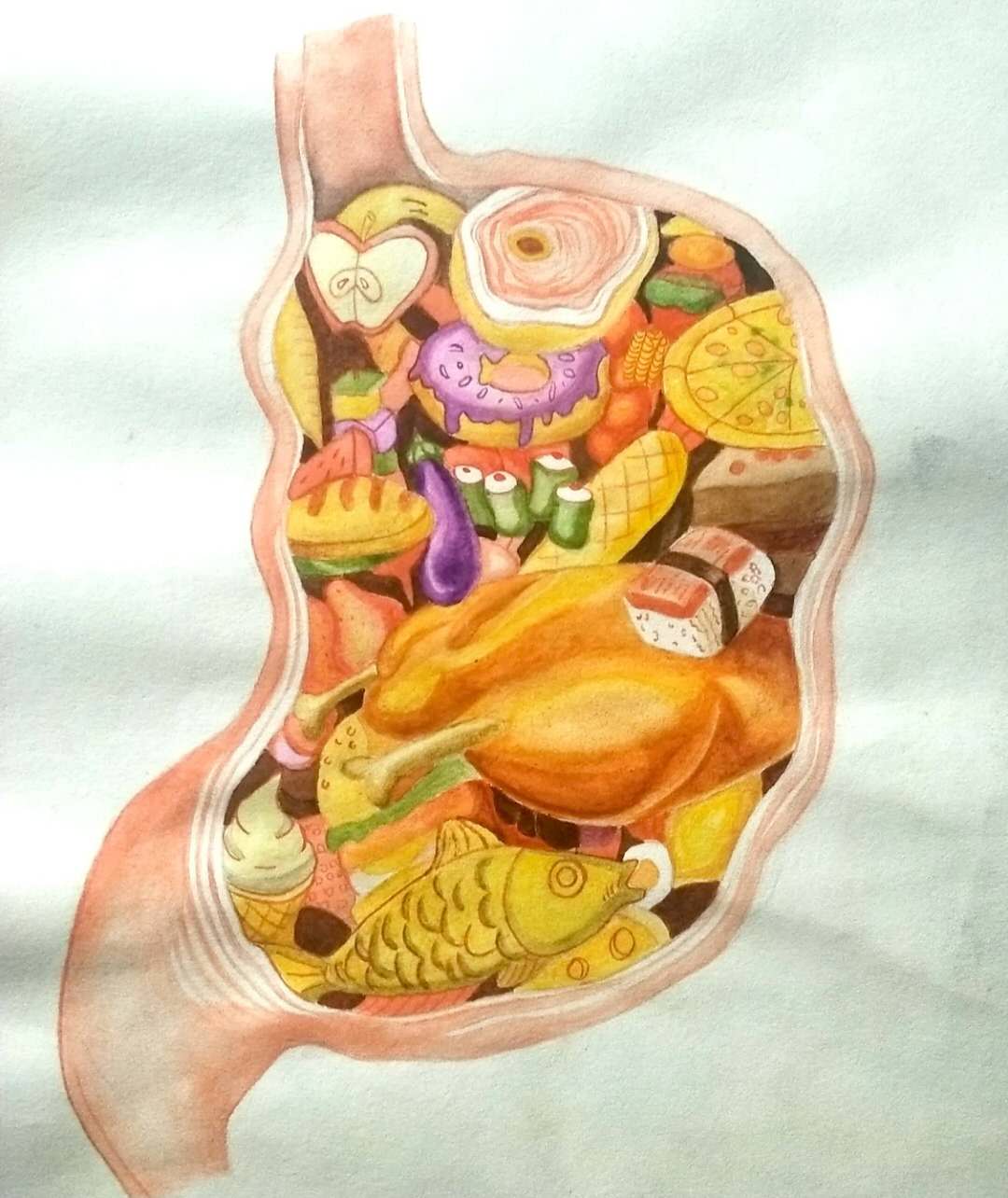 胃的创意绘画图片图片